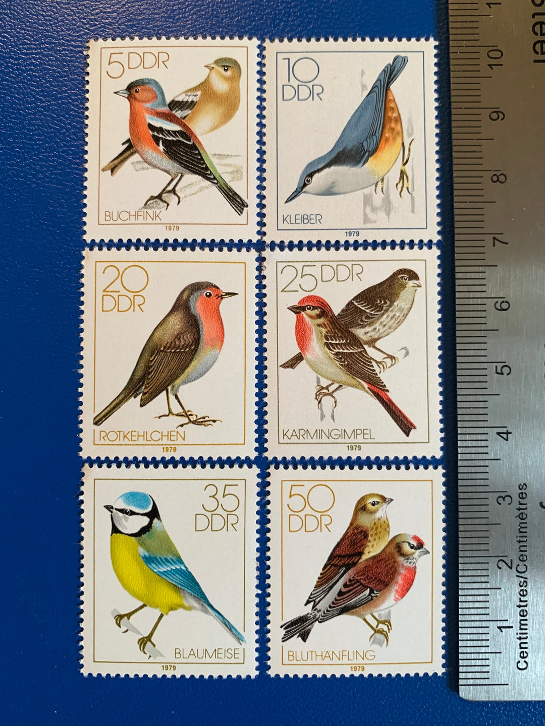 East Germany (DDR) -Original Vintage Postage Stamps - 1979 - Native Songbirds - for the collector, artist or crafter
