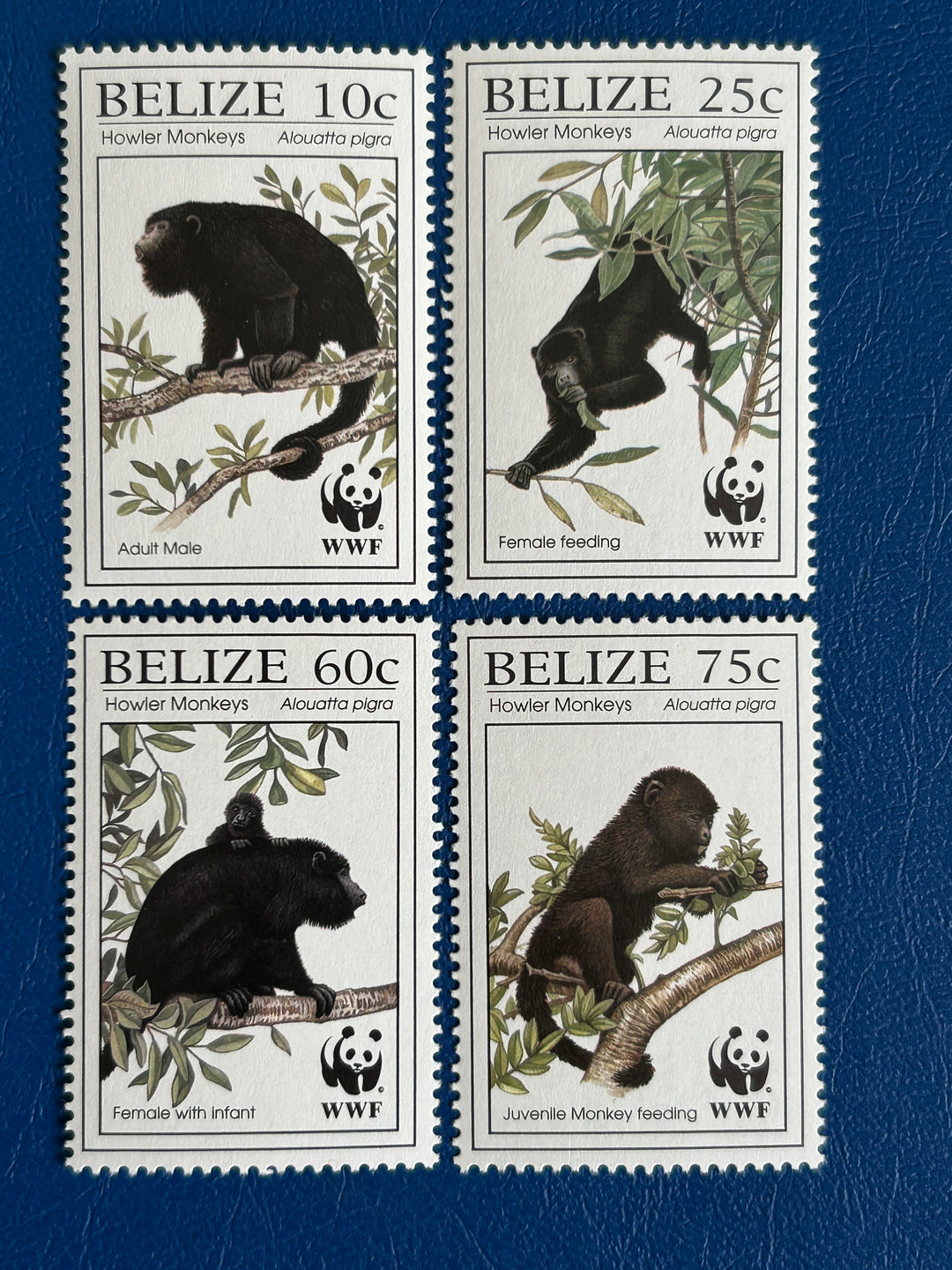 Belize - 1995 - Howler Monkeys - MNH**