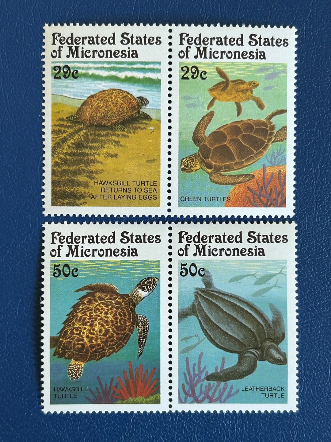 Micronesia - 1991 - Turtles (fauna) - MNH**