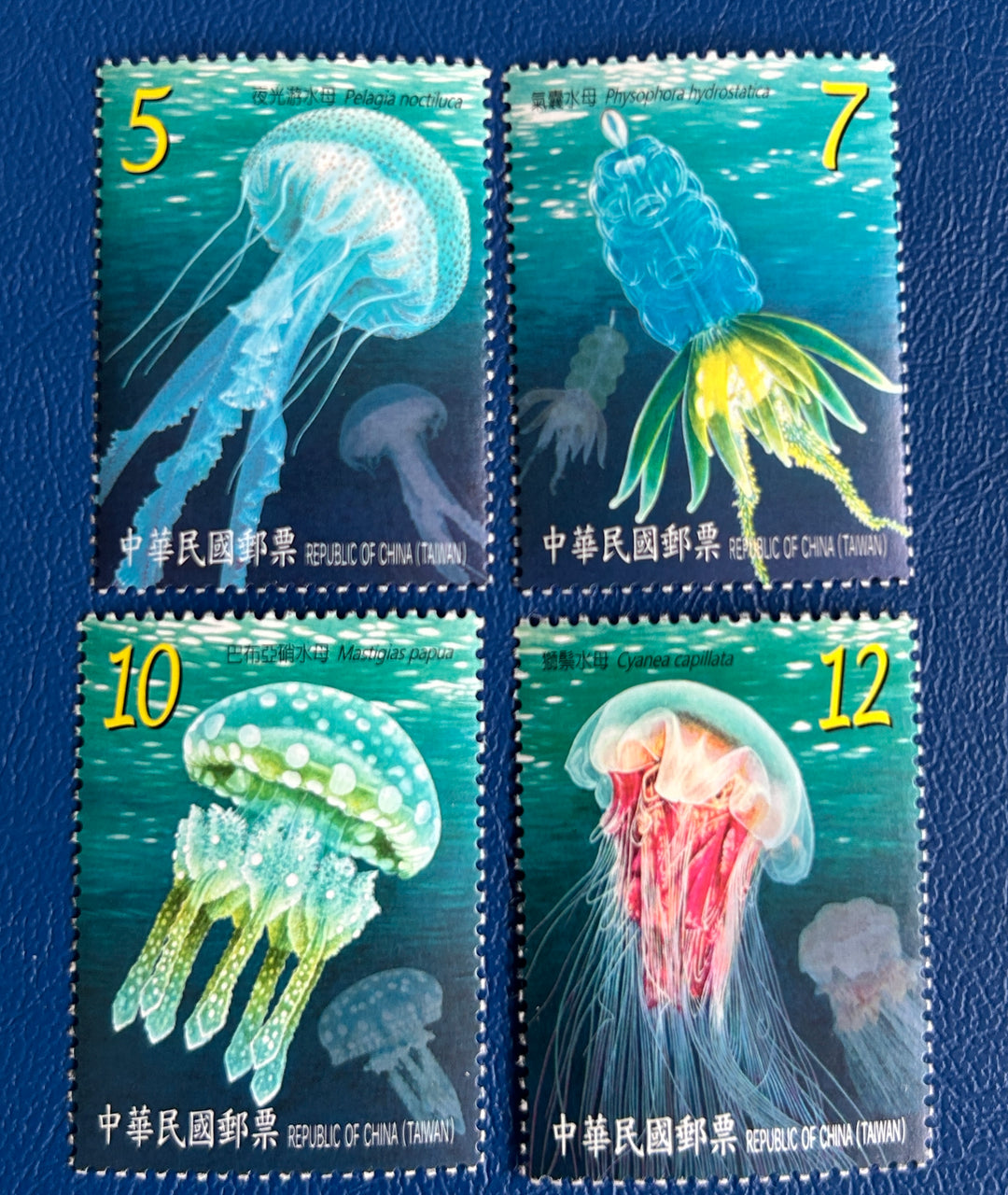 Taiwan - 2015 - Jellyfish (fauna) - MNH**