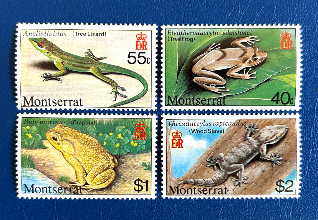 Montserrat - 1980 - Reptiles & Amphibians (fauna) -  MNH**
