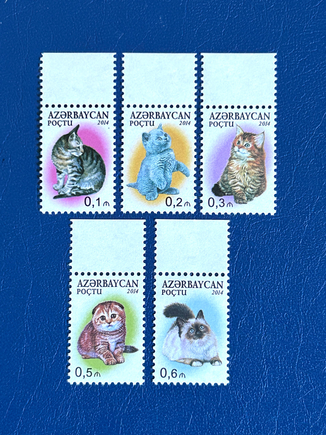 Azerbaijan Sc 1052-6 2014 Cats (fauna) MNH**