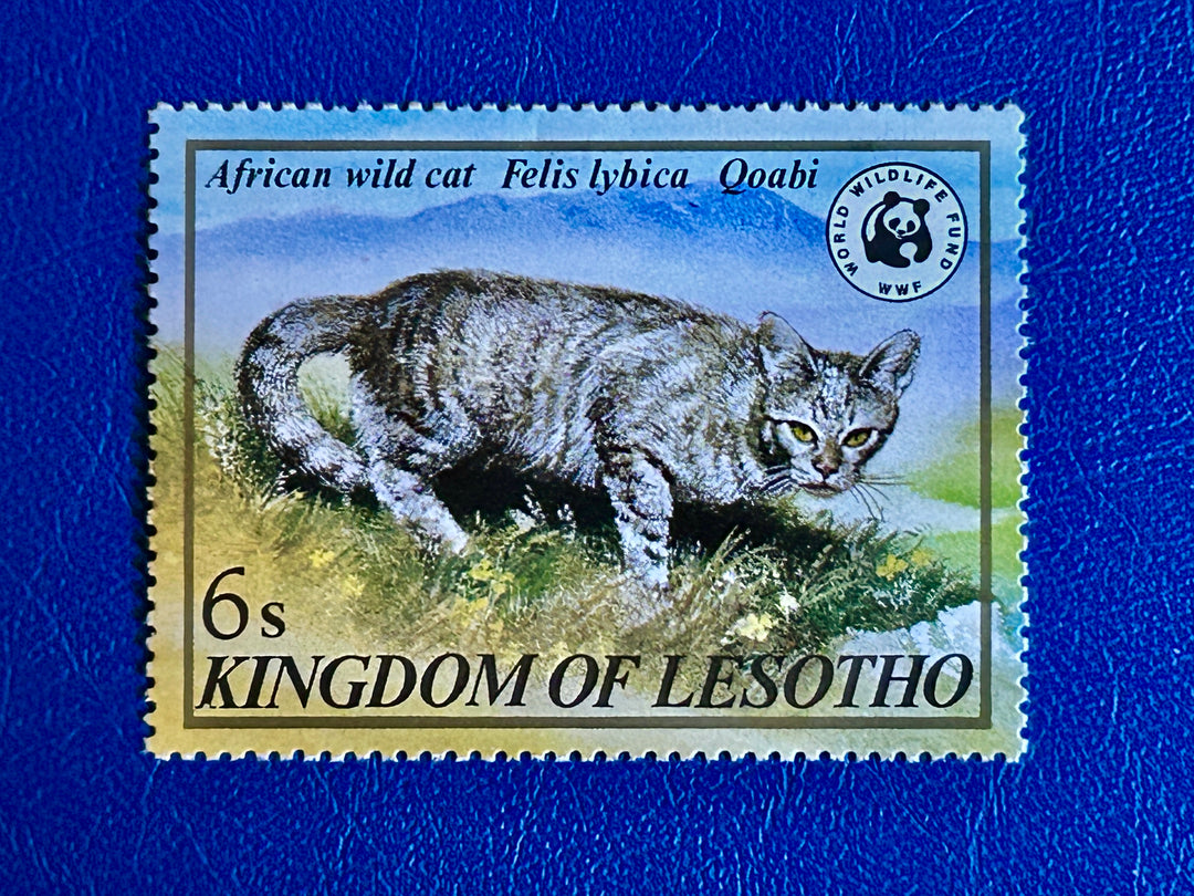 Lesotho- 1982 - African Wild Cat (fauna) - MNH**
