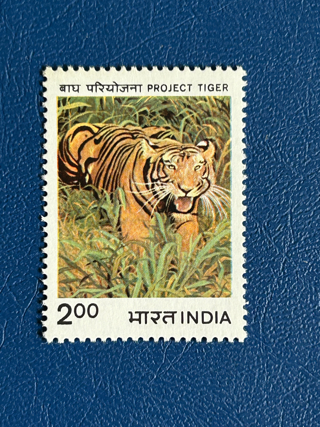 India - 1983 - Tiger (fauna) - MNH**