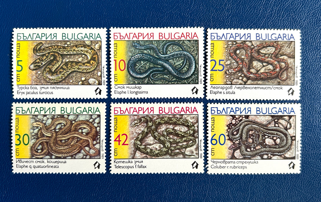 Bulgaria - 1989 - Snakes (Fauna) - MNH**