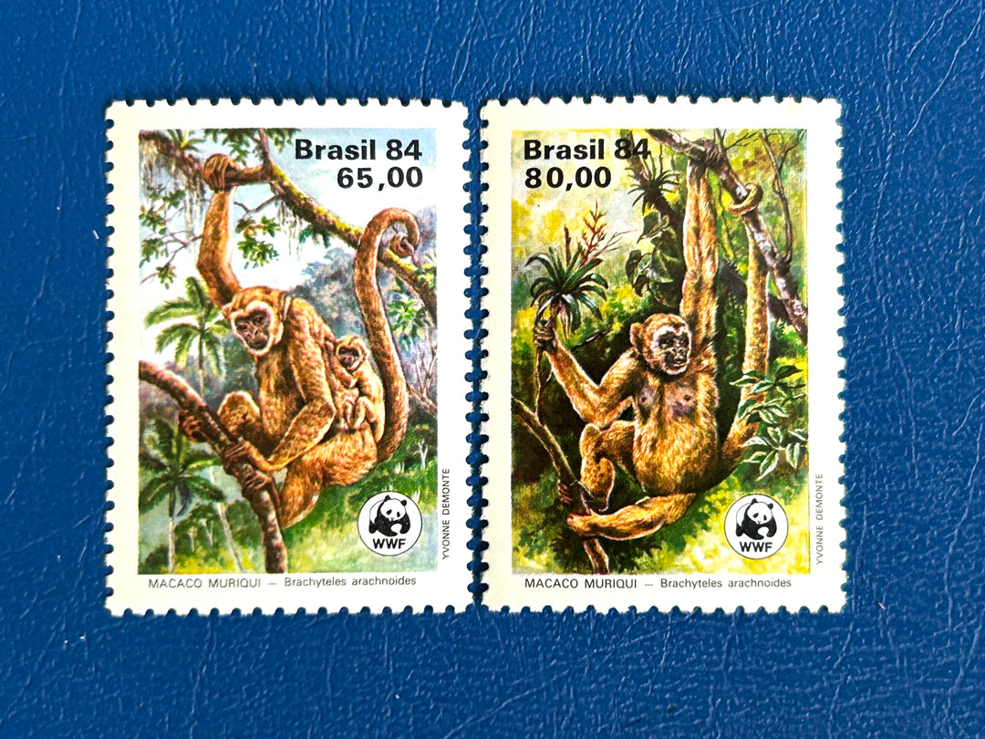 Brazil - 1984 - Spider Monkey (fauna) - MNH**