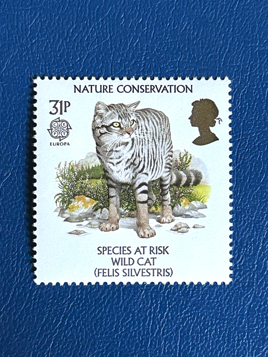 United Kingdom - 1996 - Species at Risk Wild Cat - MNH**