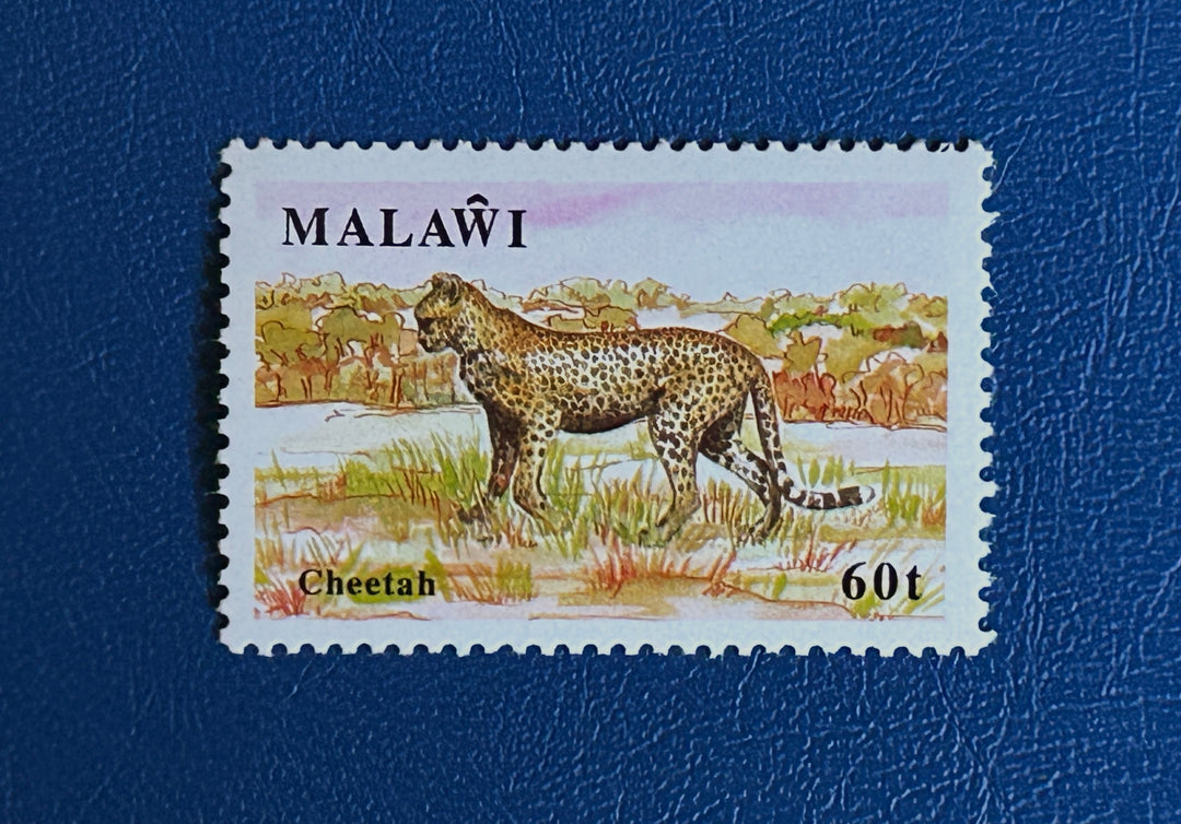 Malawi - 1991 - Cheetah - MNH**