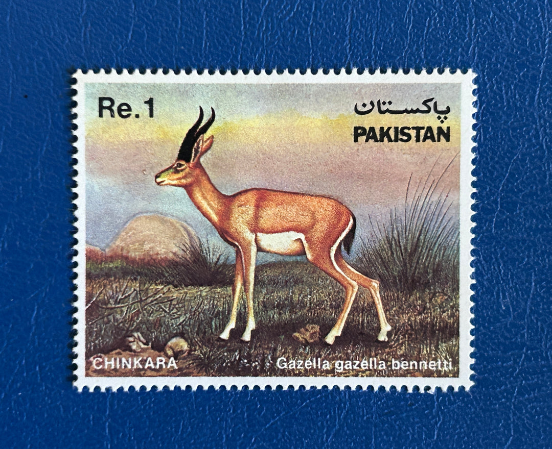 Pakistan - 1983 - Wildlife: Gazelle (fauna) -  MNH**