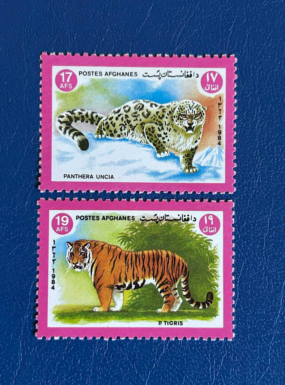 Afghanistan Sc 1083-4 Snow Leopard (fauna) 1984 MNH**
