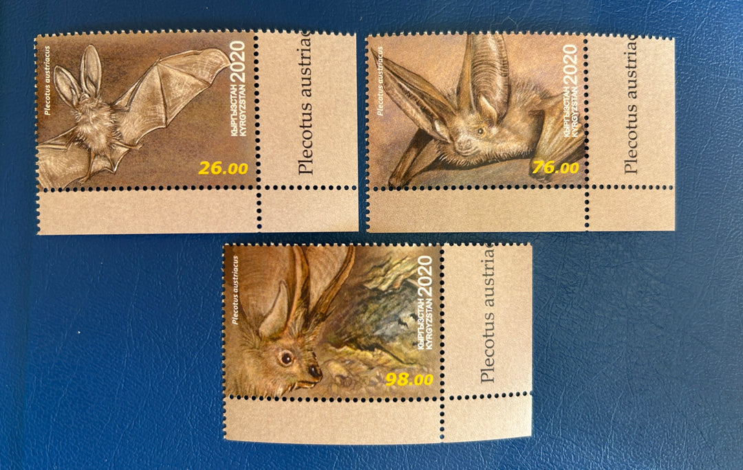 Kyrgyzstan - 2020 - Bats (fauna)- MNH**