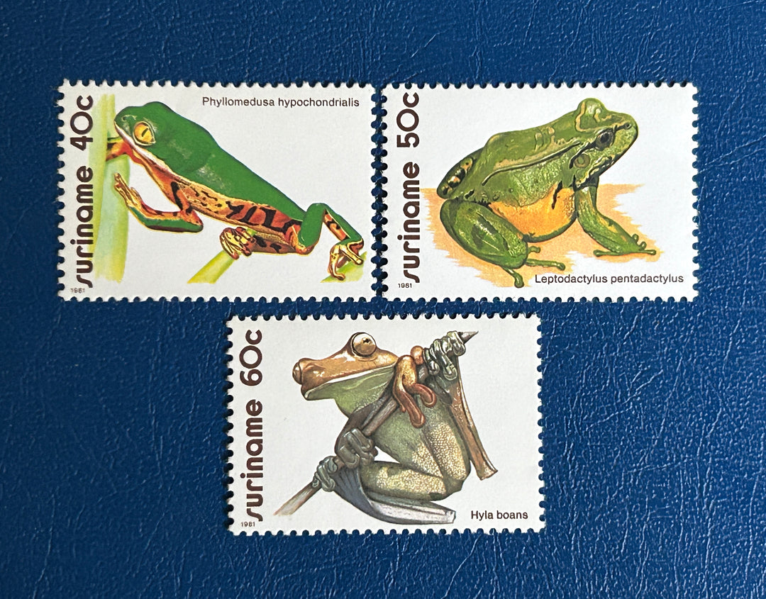 Suriname - 1981 - Frogs - MNH** (fauna)