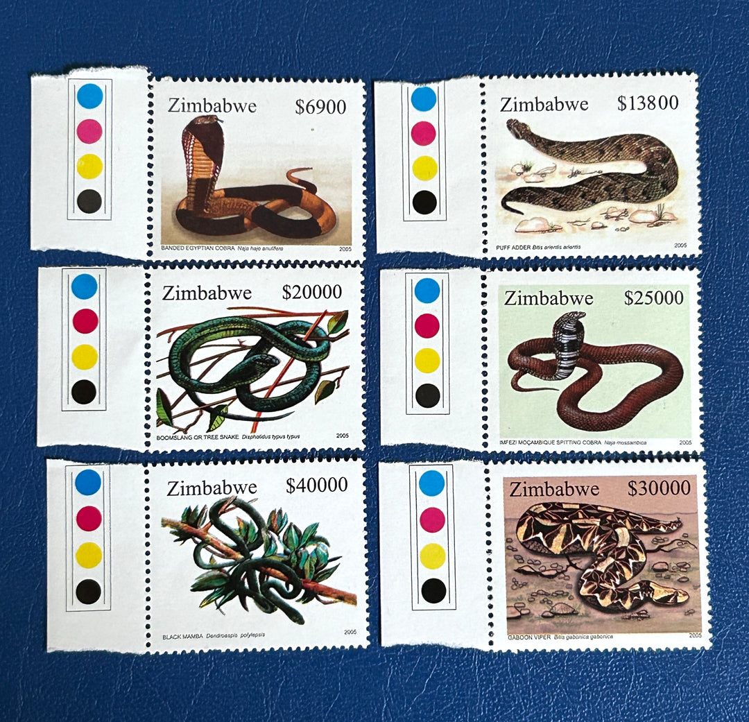 Zimbabwe - 2005 - Snakes -  (fauna) - MNH**