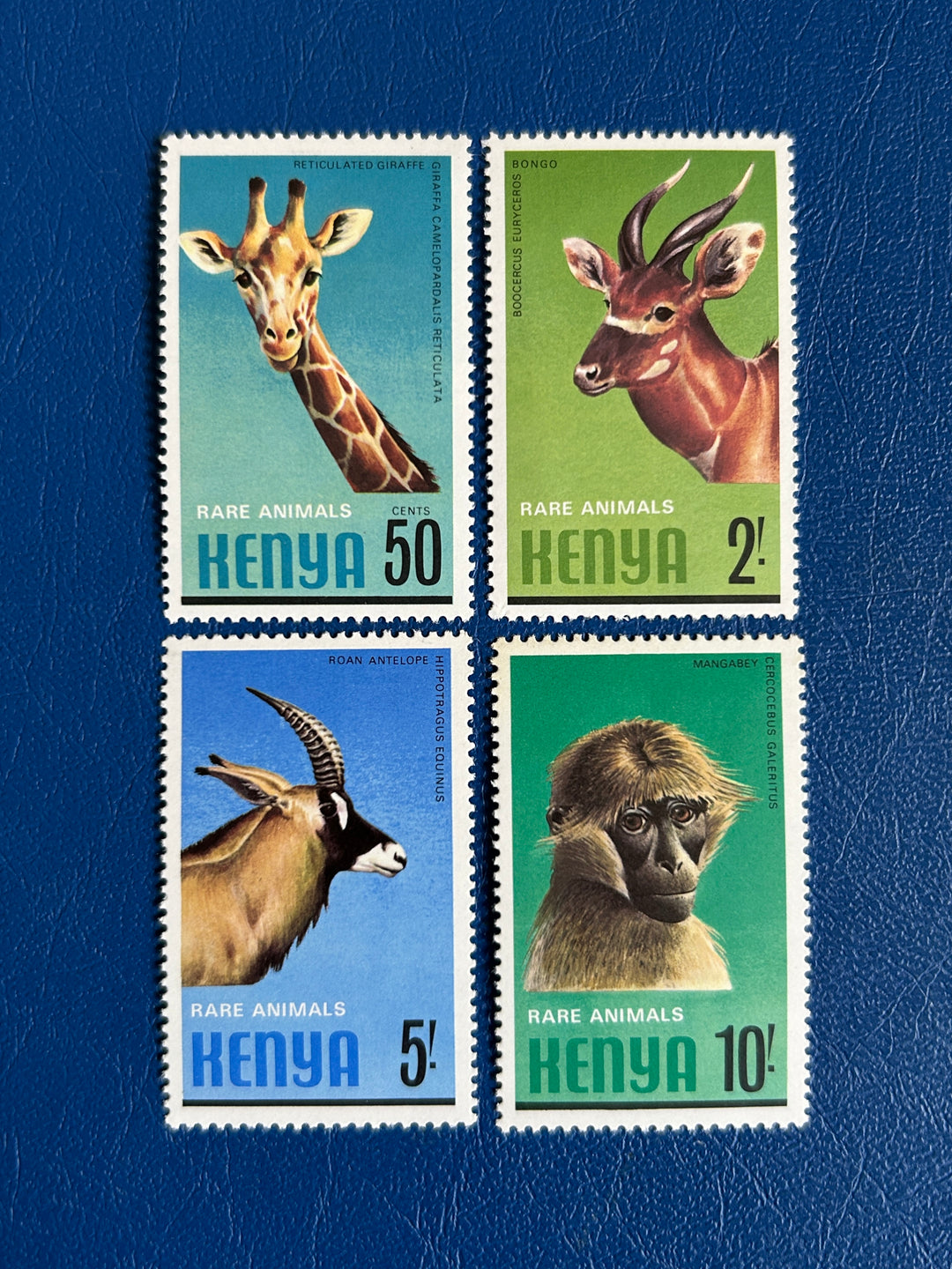 Kenya- 1981 - Wild Animals (fauna) - MNH**