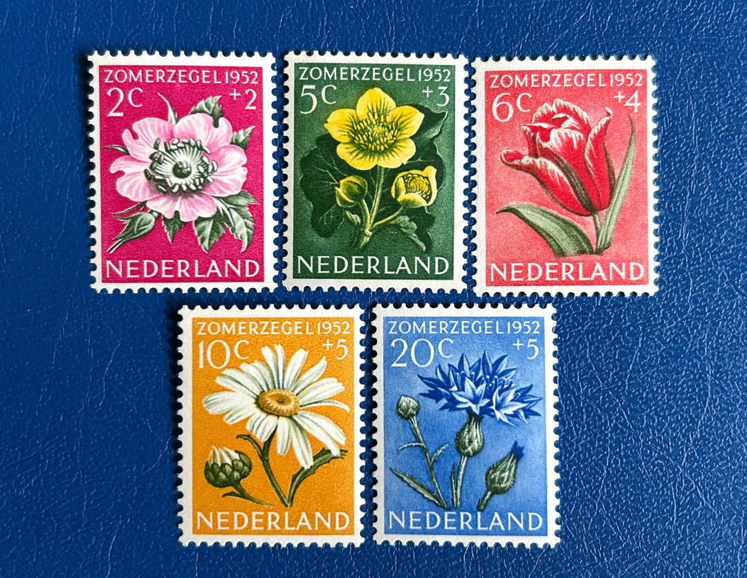 Netherlands - 1952 - Summer Stamps: Flowers - MNH**