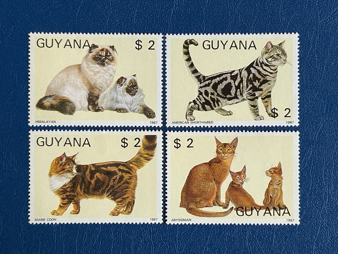 Guyana - 1988 - Cats (fauna) - MNH**