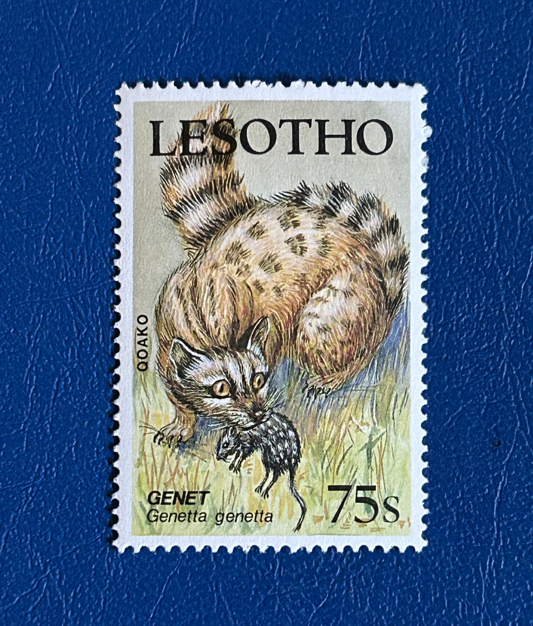 Lesotho- 1988 - Genet (fauna) - MNH**