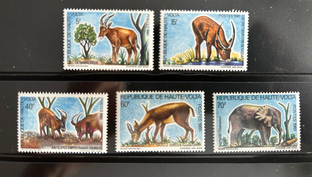 Burkina Faso - 2011 -  Domestic Animals  (fauna) - MNH**