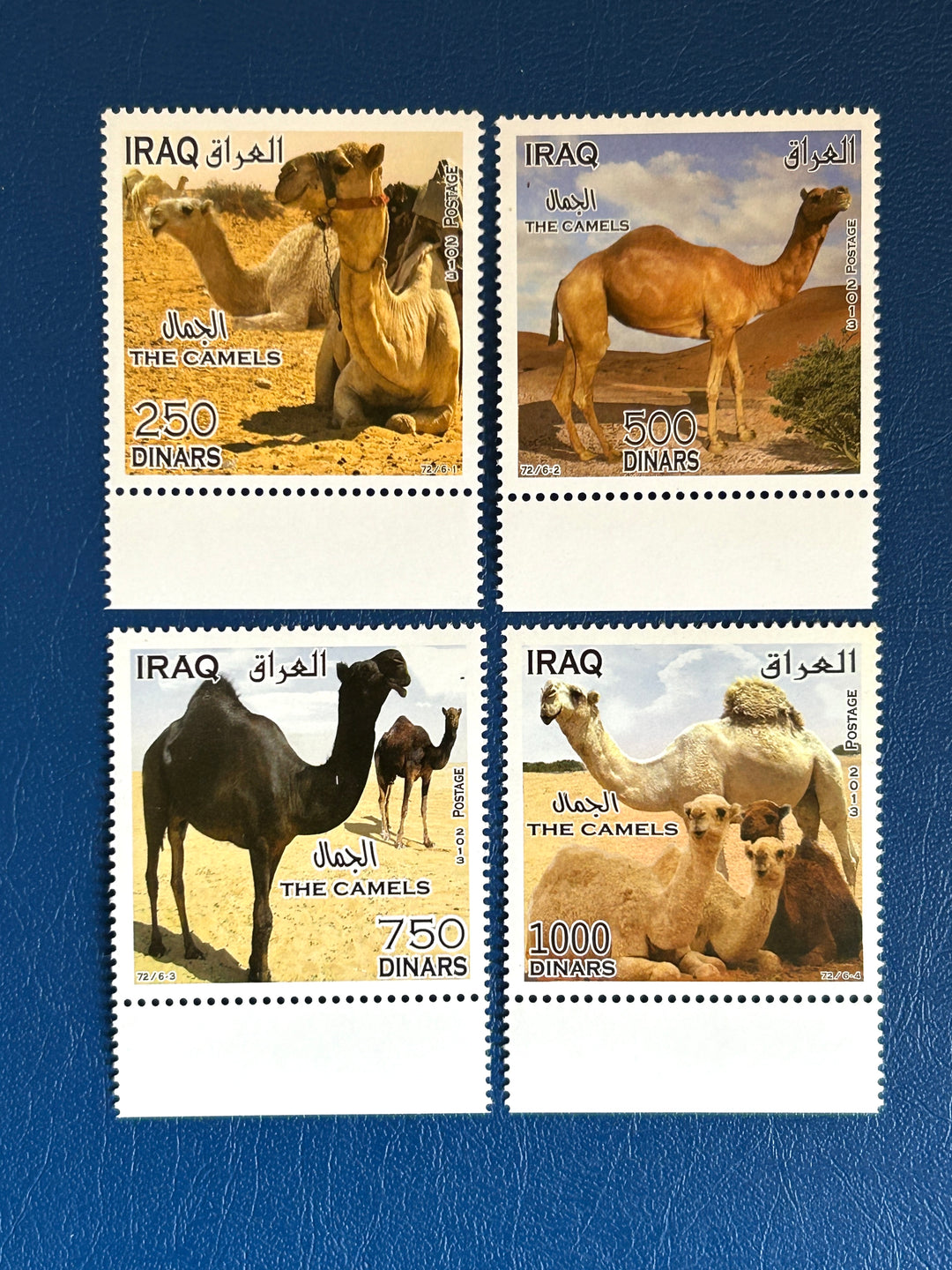 Iraq- 2013 - National Folk Costume/ Camels (fauna) - MNH**