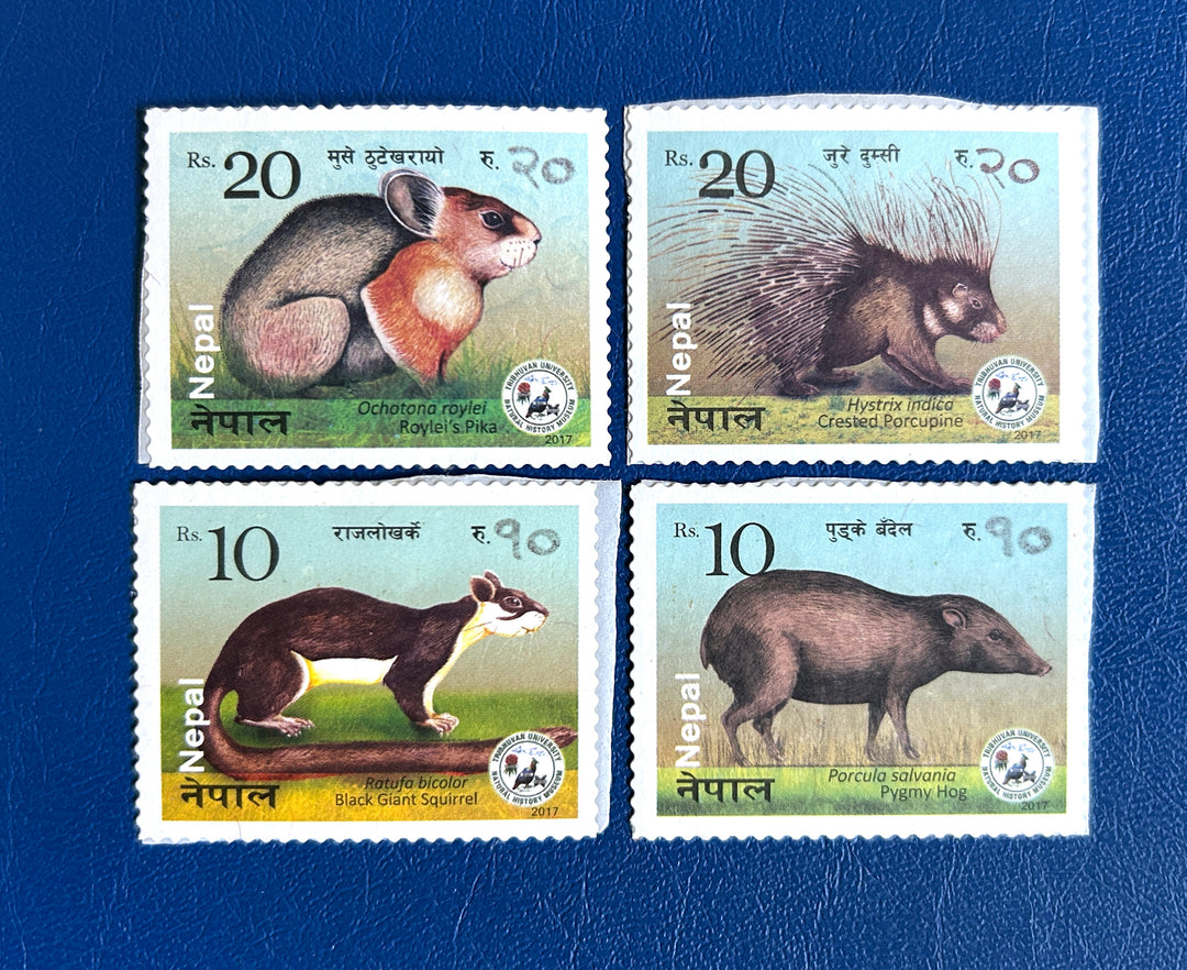 Nepal - 2017 - Wildlife (fauna) -  MNH**