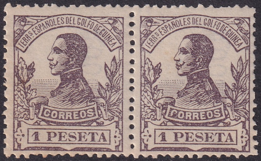 Spanish Guinea 1912 Sc 125 pair MNH** streaky gum