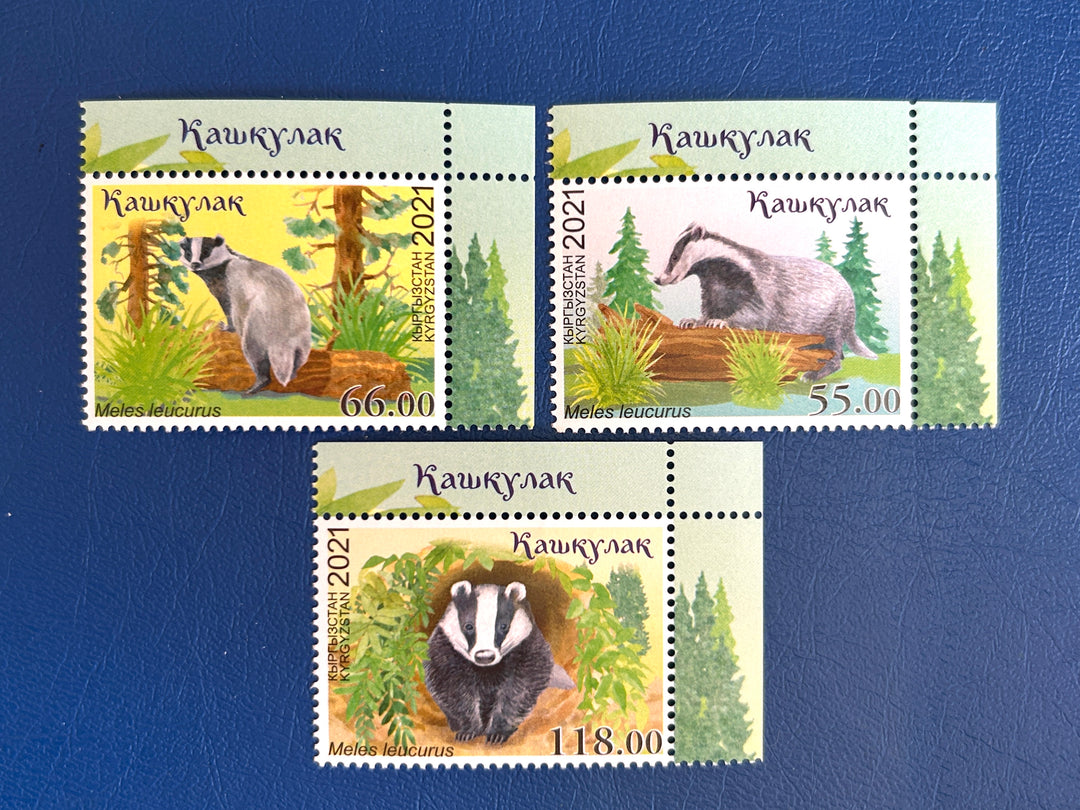 Kyrgyzstan - 2021 - Asian Badgers (fauna) - MNH**