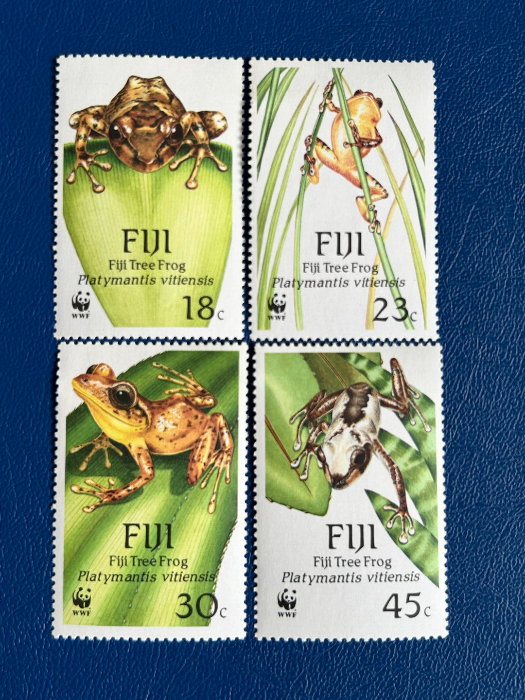 Fiji - 1988 -  Tree Frog  (fauna) - MNH**