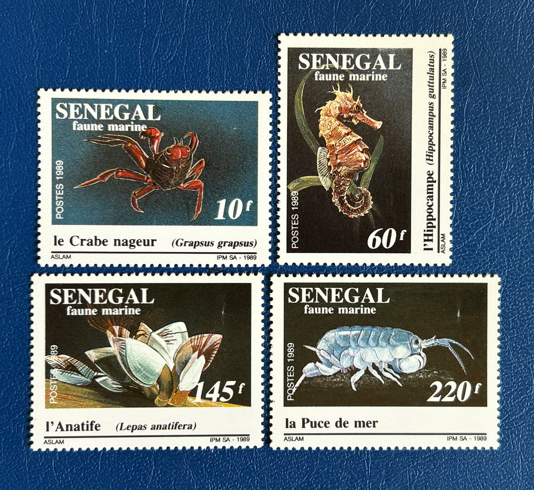 Senegal - 1989 - Marine Animals (fauna)-  MNH**
