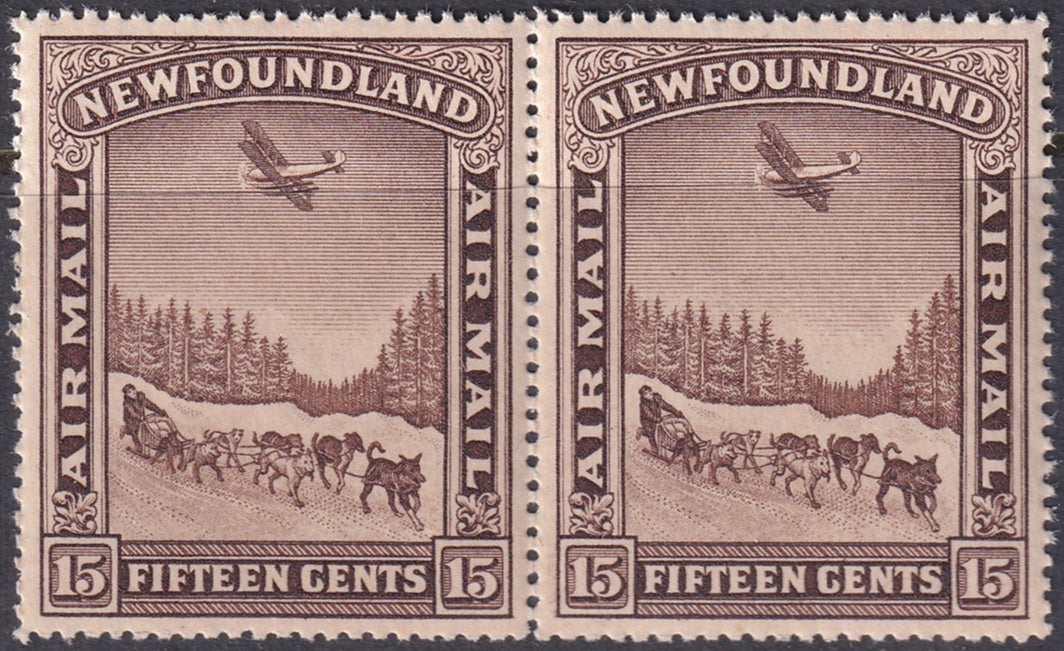 Newfoundland 1931 Sc C6 air post pair MNH**