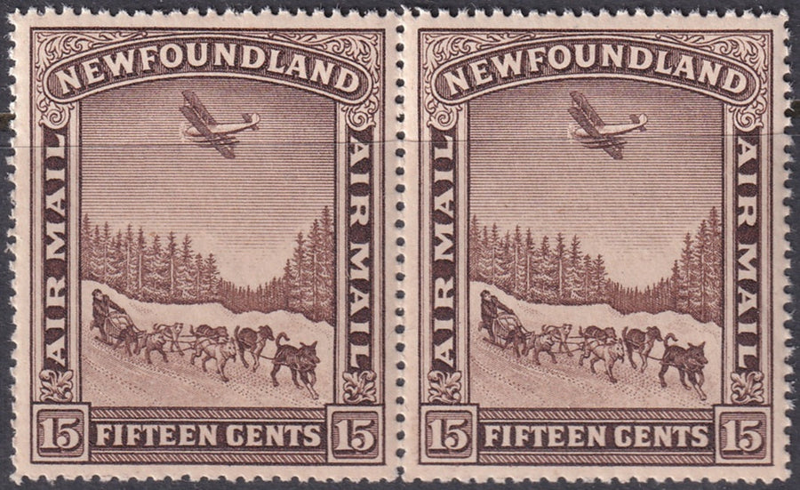 Newfoundland 1931 Sc C6 air post pair MNH**
