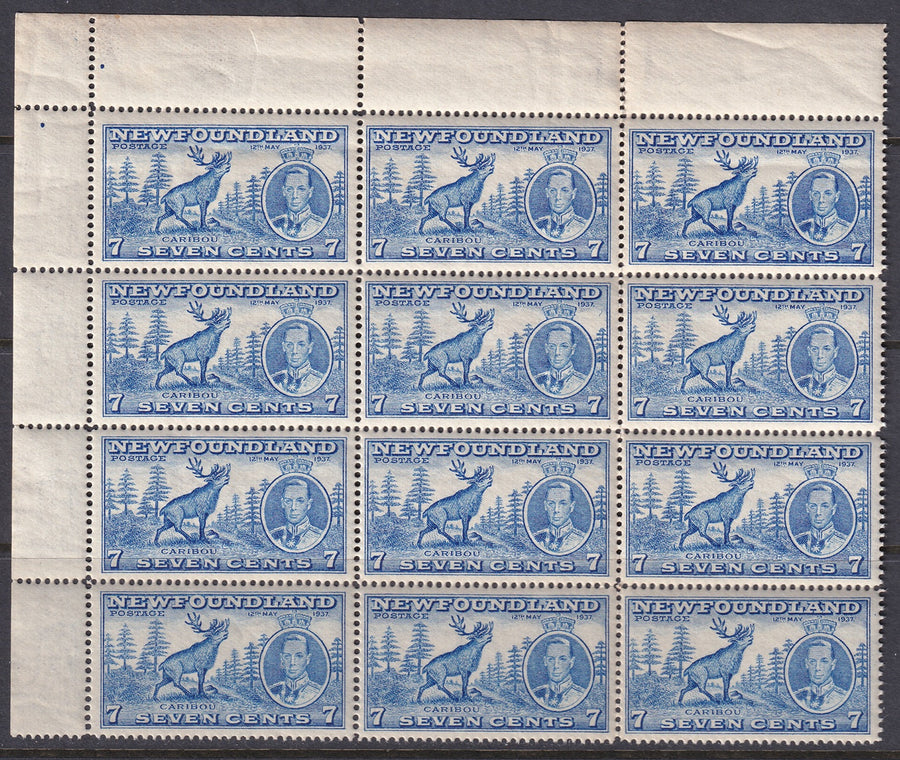 Newfoundland 1937 Sc 235iii upper left plate block of 12 MNH** with 2 re-entries