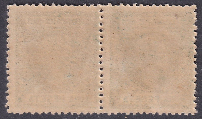 Fernando Po 1901 Sc 98 Ed 104 pair MNH**