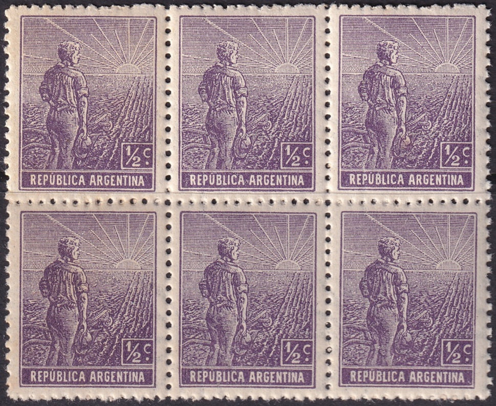 Argentina 1911 Sc 179 var block of 6 MNH** no watermark variety