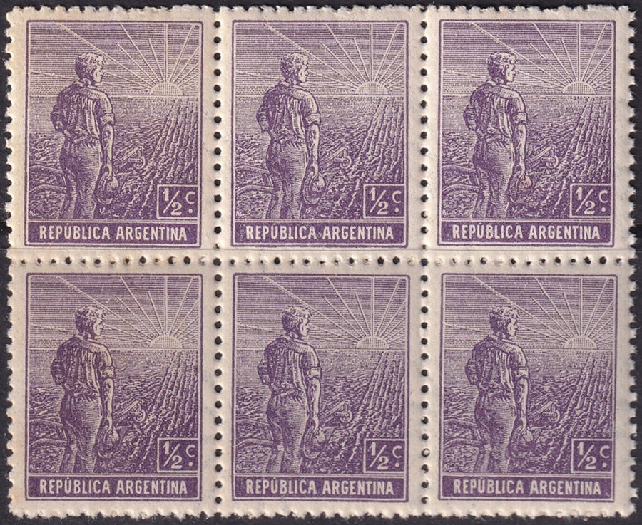 Argentina 1911 Sc 179 var block of 6 MNH** no watermark variety