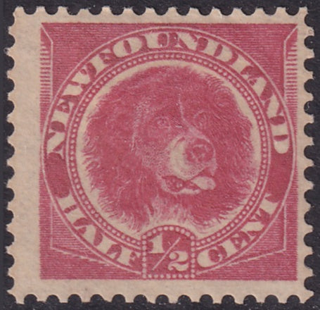Newfoundland 1896 Sc 56a MH*