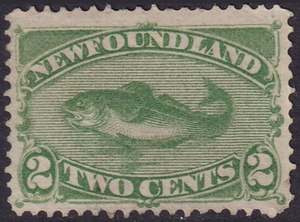 Newfoundland 1880 Sc 46 MNG(*) some short perfs