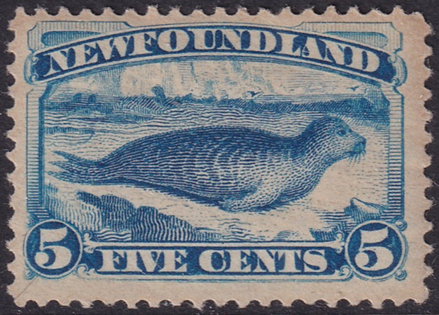 Newfoundland 1894 Sc 55 MH* toned