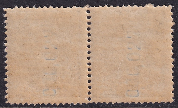 Fernando Po 1902 Sc 110 Ed 116 pair MNH**