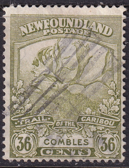 Newfoundland 1919 Sc 126 used