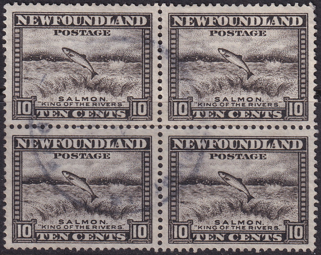 Newfoundland 1932 Sc 193 block used