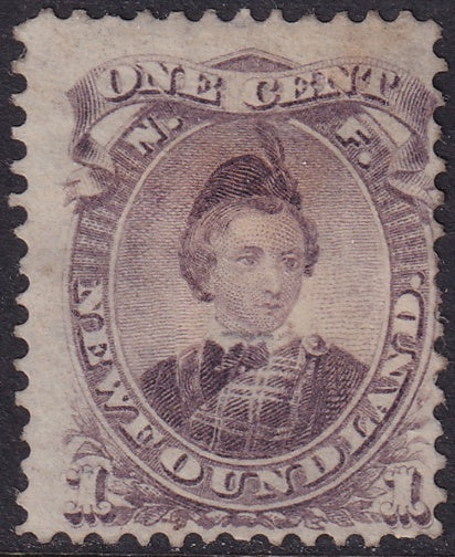 Newfoundland 1868 Sc 32 MNG(*) paper adhesion/staining on back