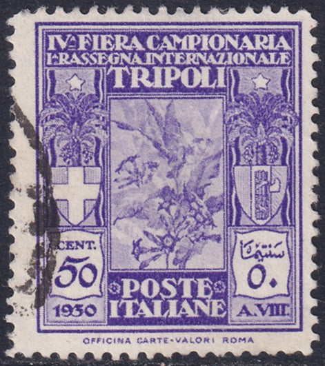 Libya 1930 Sc B24 used