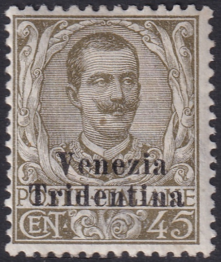 Austria 1918 Sc N58 Italian occupation MH*