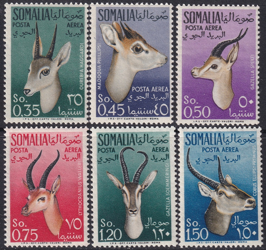 Somalia 1955 Sc C40-5 air post set MNH**
