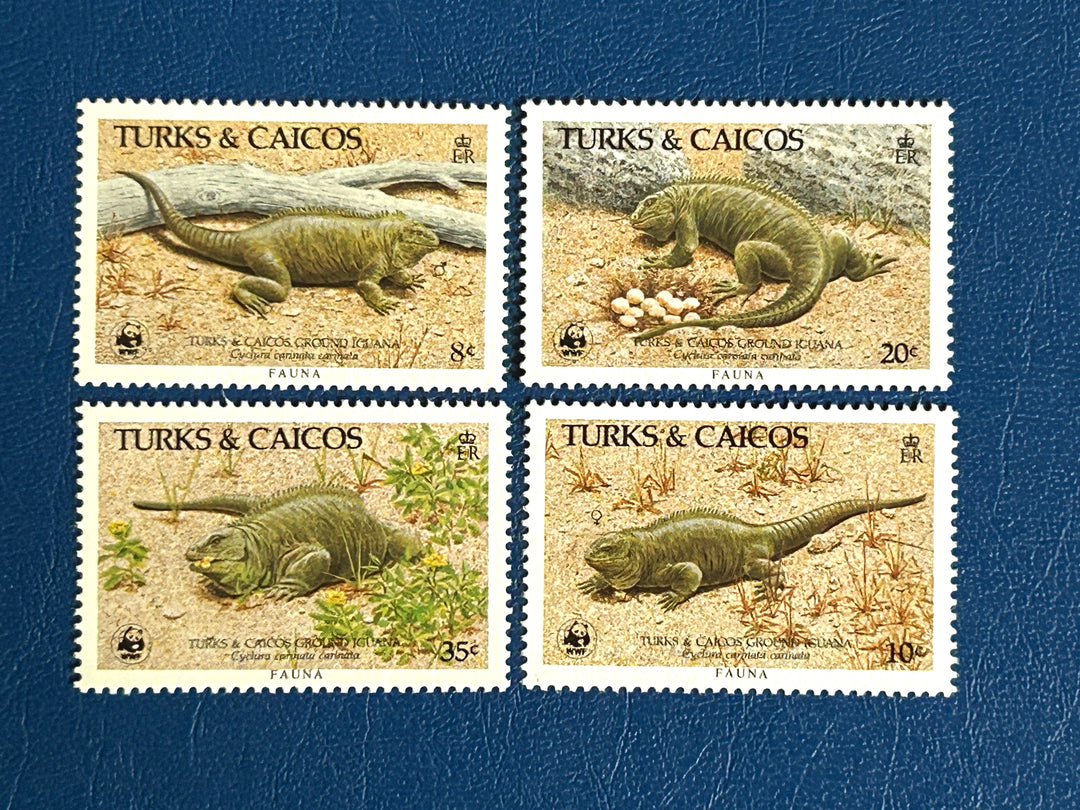 Turks & Caicos - 1986 - Igaunas - MNH** (fauna)