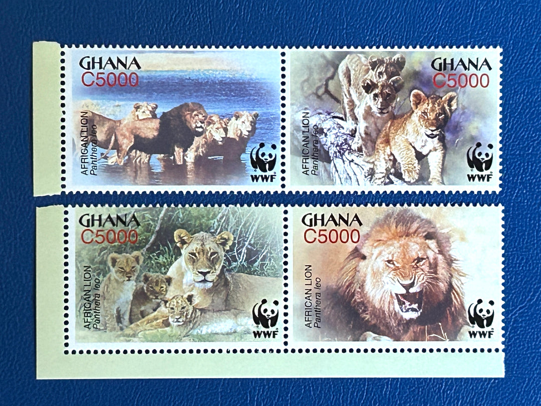 Ghana - 2004 - African Lion - MNH**
