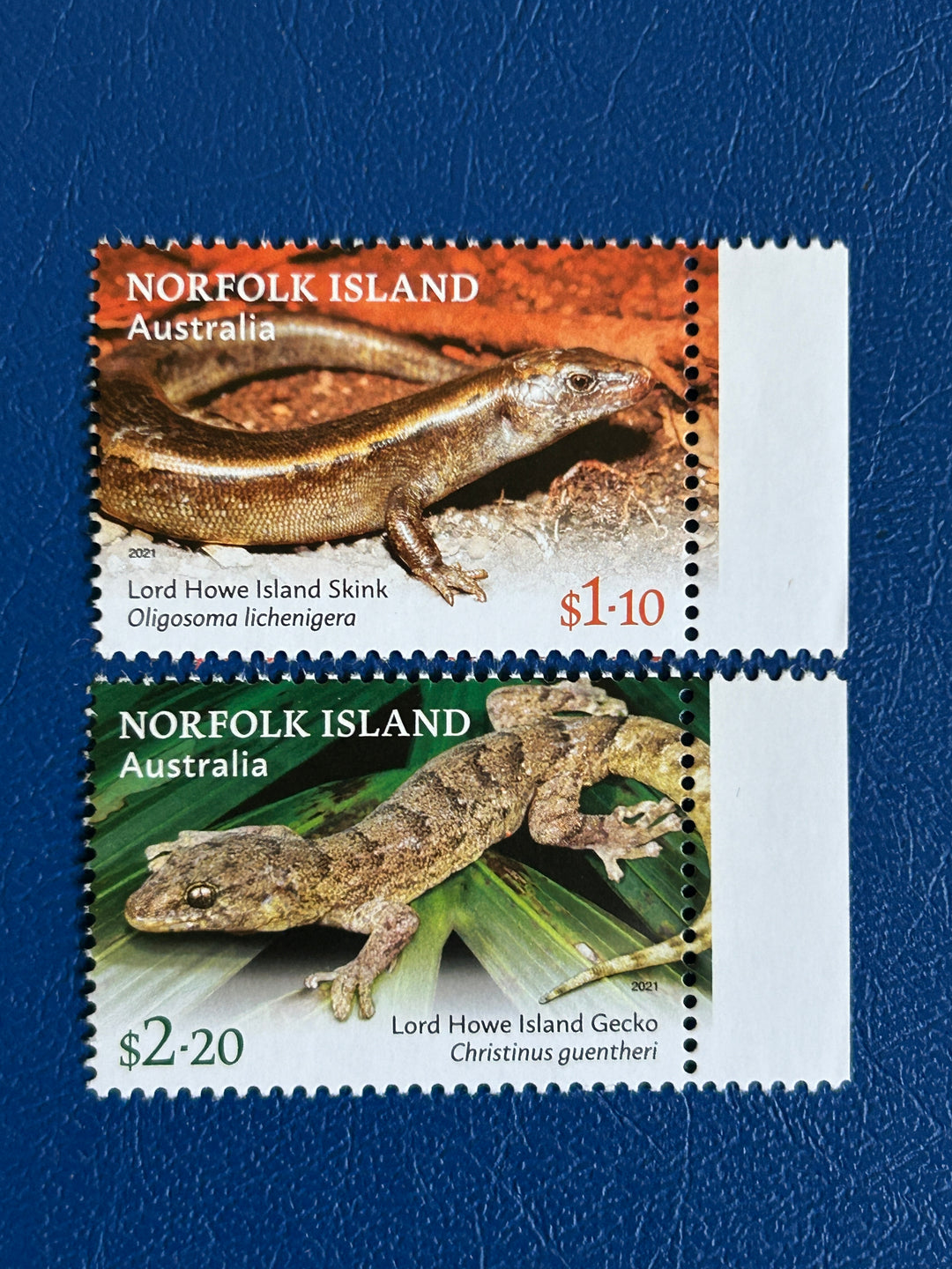 Norfolk Island - 2026 - Lizard (fauna) -  MNH**