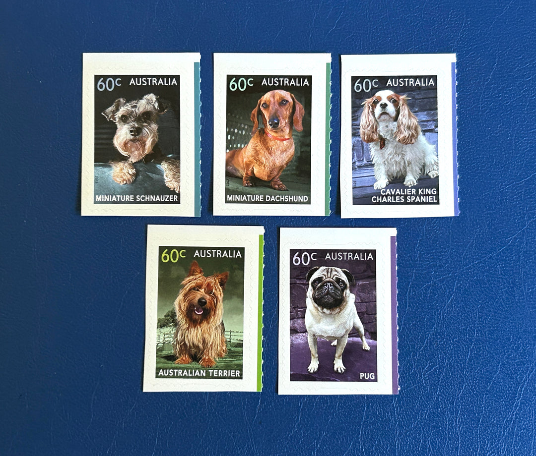 Australia Sc 3871-5 Dog Breeds (fauna) 2013 MNH**