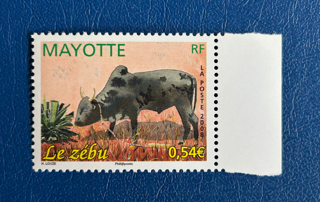 Mayotte - 2008 - Zebu (fauna) - MNH**