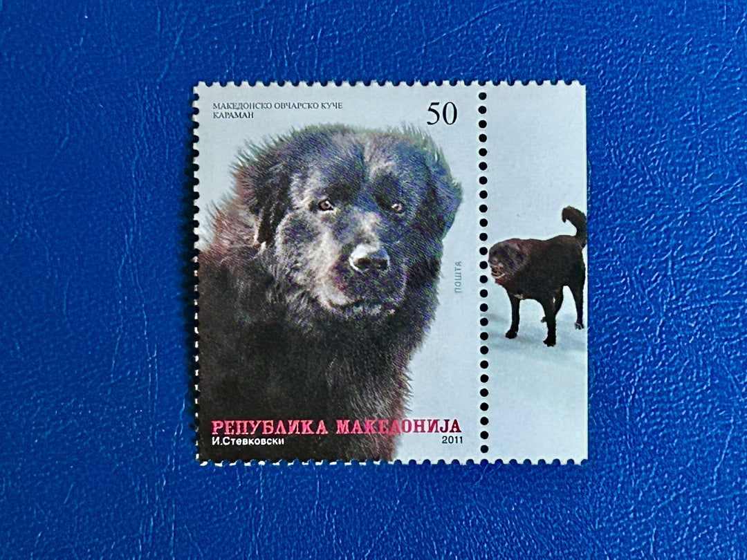 North Macedonia - 2011 - Shepherd Dog - MNH**